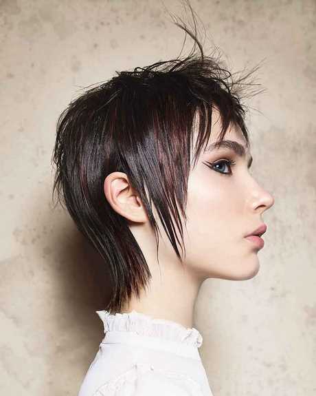 Haarkleur korte kapsels 2022 haarkleur-korte-kapsels-2022-83_7