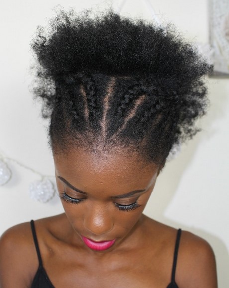 Afro haar stijlen afro-haar-stijlen-22_19