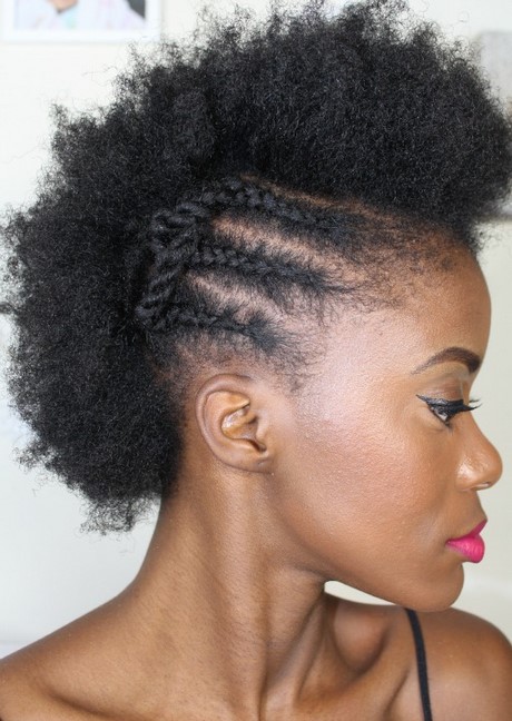 Afro haar stijlen afro-haar-stijlen-22_20