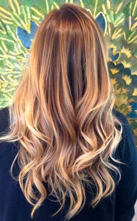 Donkere highlights in blond haar donkere-highlights-in-blond-haar-82_12