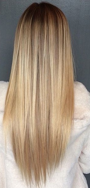 Donkere highlights in blond haar donkere-highlights-in-blond-haar-82_5