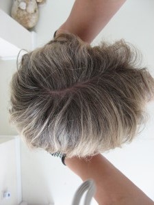 Grijs haar uit laten groeien grijs-haar-uit-laten-groeien-05_10