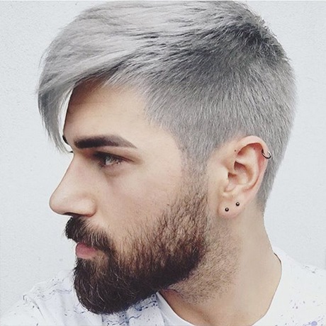 Man grijs haar verven man-grijs-haar-verven-35