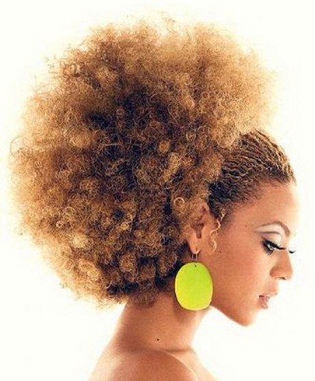 Afro haar kapsels afro-haar-kapsels-23_14